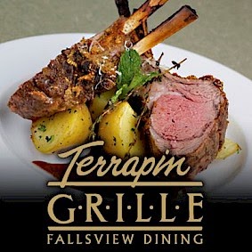 Terrapin Cafe | 6740 Fallsview Blvd, Niagara Falls, ON L2G 3W6, Canada | Phone: (905) 357-7300