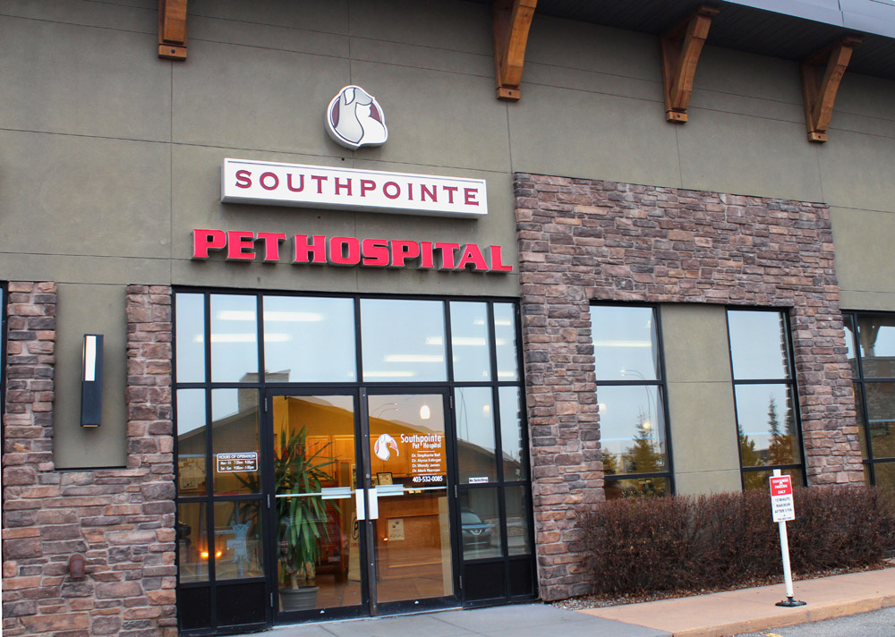 Southpointe Pet Hospital | 4600 130 Ave SE #210, Calgary, AB T2Z 0C2, Canada | Phone: (403) 532-0085