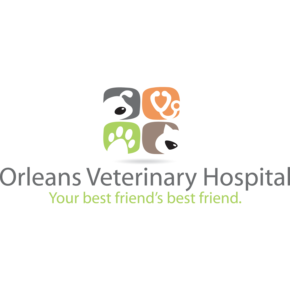 Orleans Veterinary Hospital | 1992 Tenth Line Rd, Orléans, ON K1E 0A7, Canada | Phone: (613) 824-7511