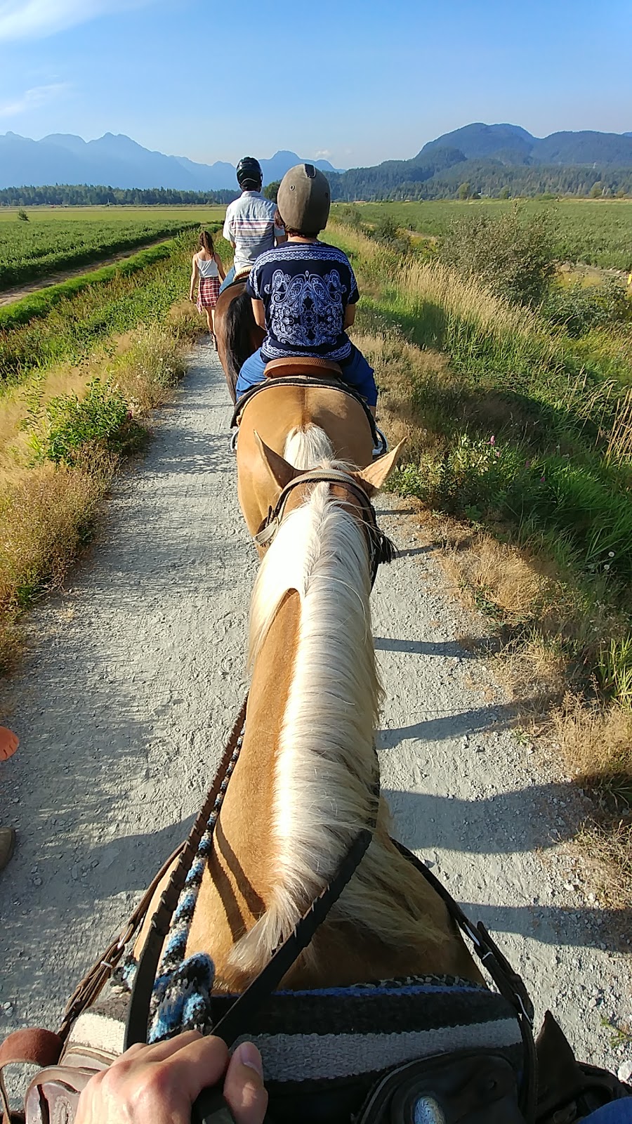 Leghorn Ranch Trail Rides & Hay Sales | 20254 Old Dewdney Trunk Rd, Pitt Meadows, BC V3Y 1Z1, Canada | Phone: (778) 886-1343