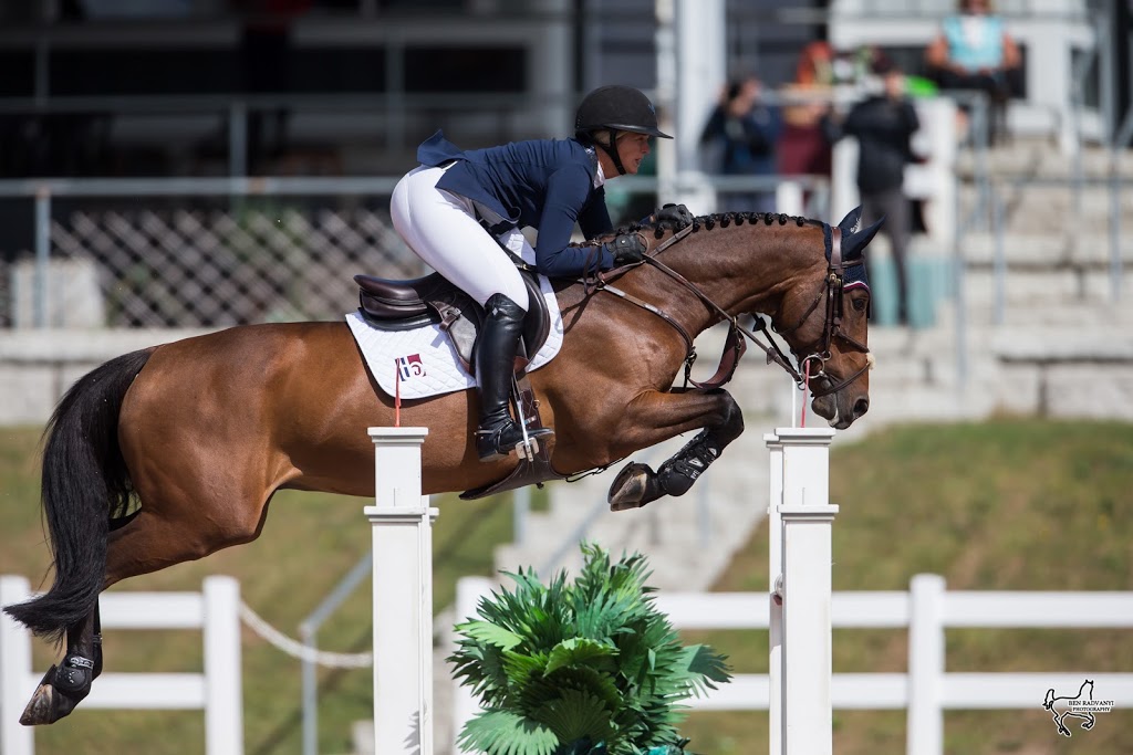 Taylor Brooks Equestrian | 8745 McCaffrey Trail, Ashton, ON K0A 1B0, Canada | Phone: (613) 296-2181