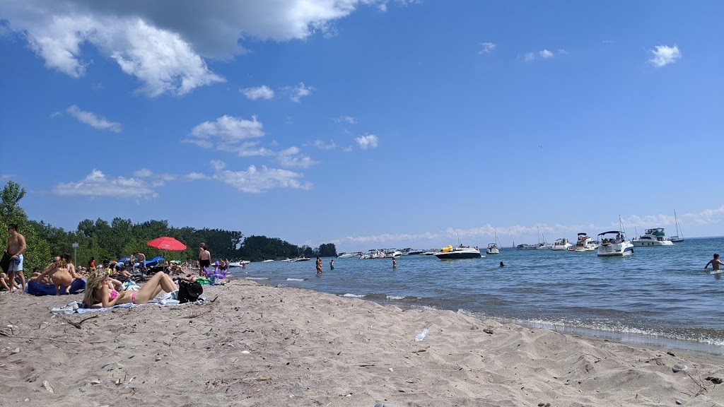 Hanlans Point Beach | Lakeshore Ave, Toronto, ON M5J 2W2, Canada | Phone: (416) 392-8196