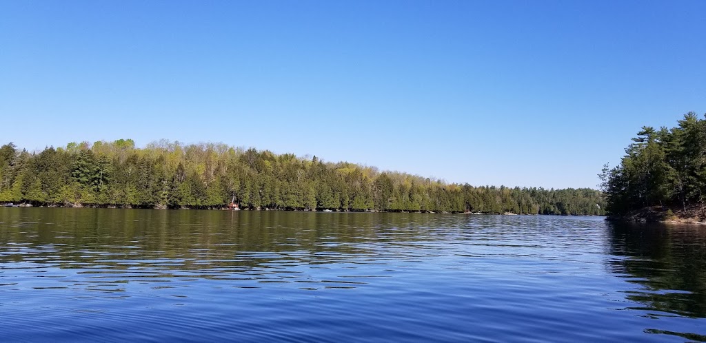 Chalets à louer - Lac 31 Milles. | Chemin du Lac Charron, Bouchette, QC J0X 1E0, Canada | Phone: (819) 664-3393