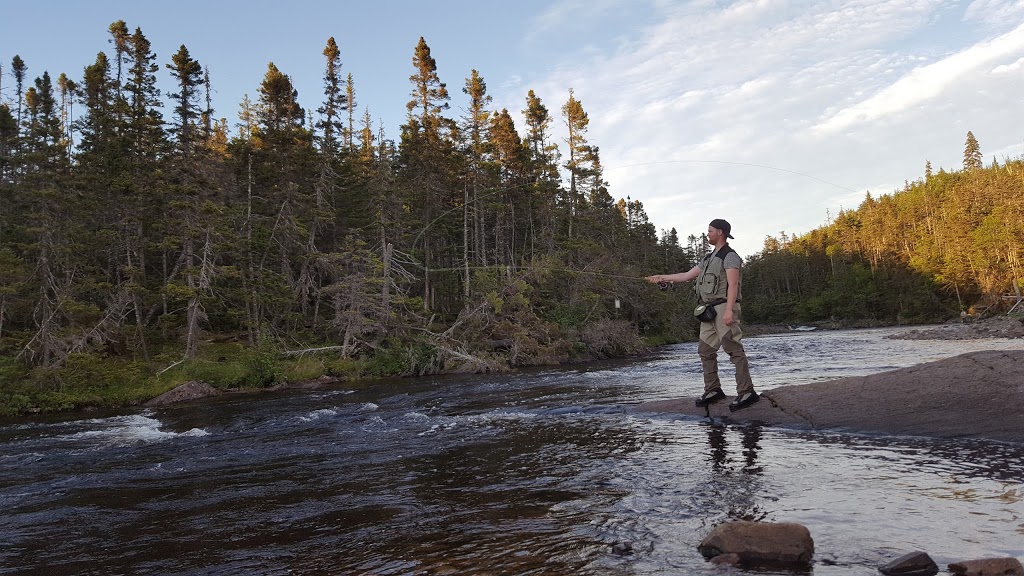 Avalon Wilderness Reserve | Aquaforte, NL A0A 1A0, Canada | Phone: (709) 685-1853