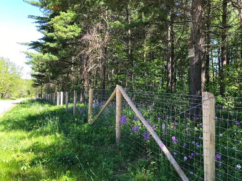 Blue Sky Fence & Deck Inc | 1, 3392 Wonderland Rd S, London, ON N6L 1A6, Canada | Phone: (519) 652-1224