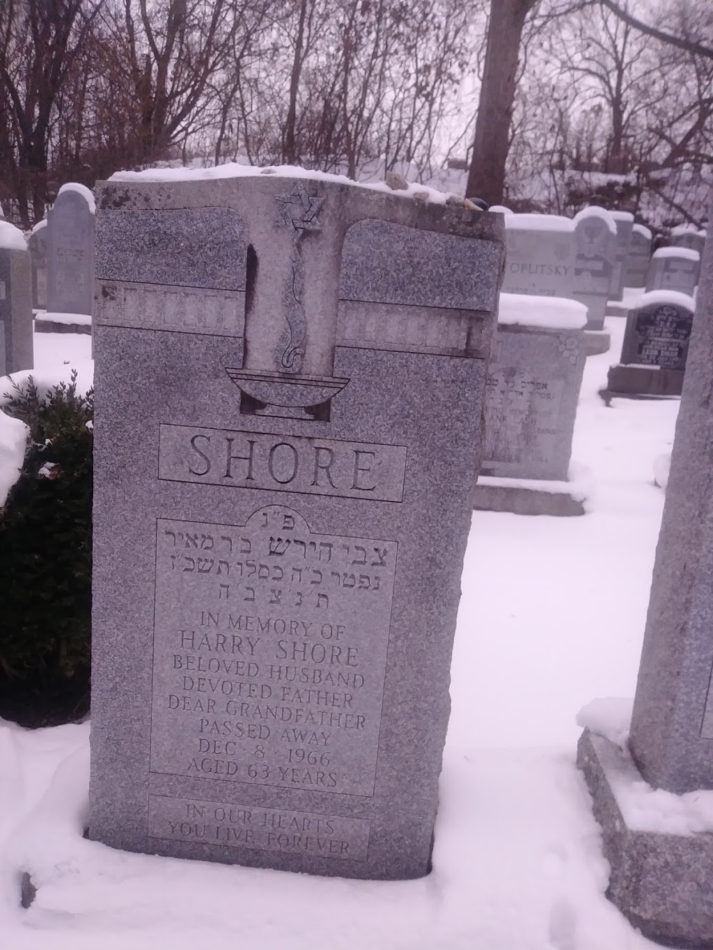 Lambton Hills Cemetery | 1293 Royal York Rd, Etobicoke, ON M9A 5E6, Canada