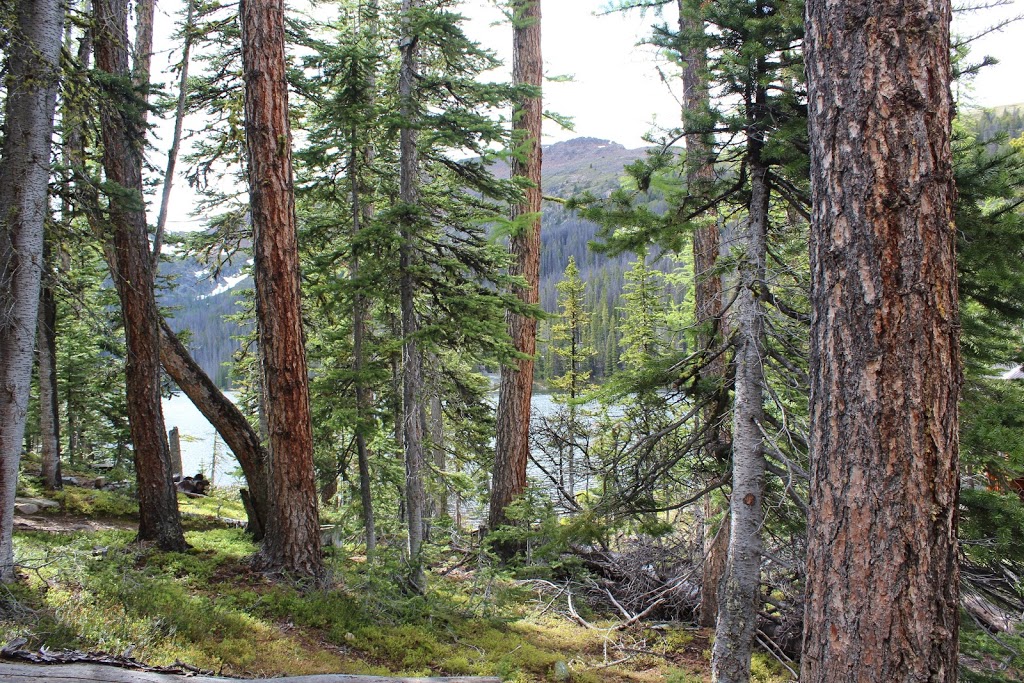 Cathedral Lakes Lodge Ltd | Cathedral Provincial Park and Protected Area, Okanagan-Similkameen G, BC V0X 1N0, Canada | Phone: (250) 226-7560