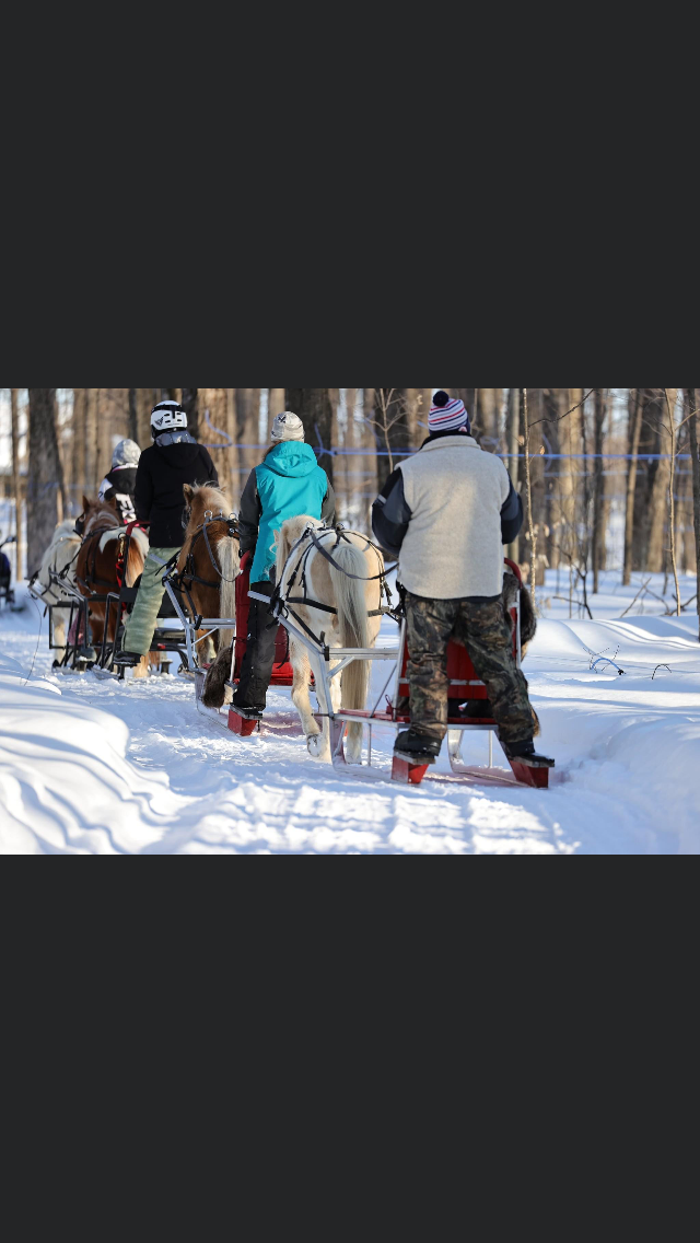 Poney des neiges | 1785 9e Rang, Saint-Wenceslas, QC G0Z 1J0, Canada | Phone: (819) 668-4885