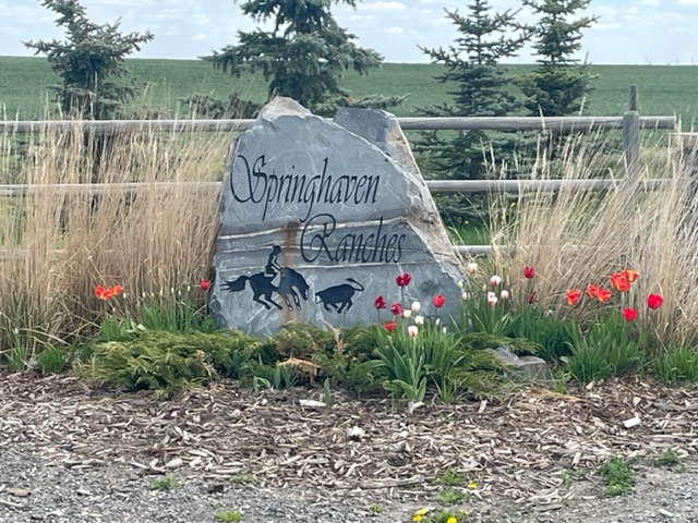 Springhaven Ranches Ltd | 200-306132 96 St E, Foothills County, AB T1S 3Z1, Canada | Phone: (403) 371-6531