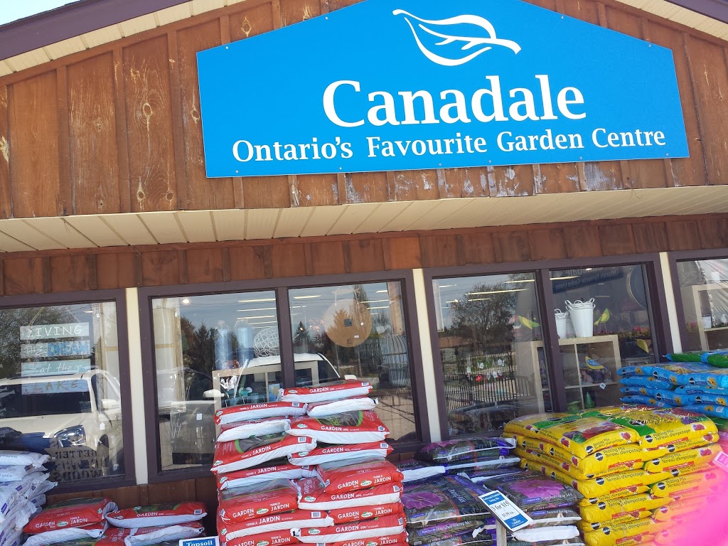 Canadale Nurseries | 269 Sunset Dr, St Thomas, ON N5R 3C4, Canada | Phone: (519) 631-7264