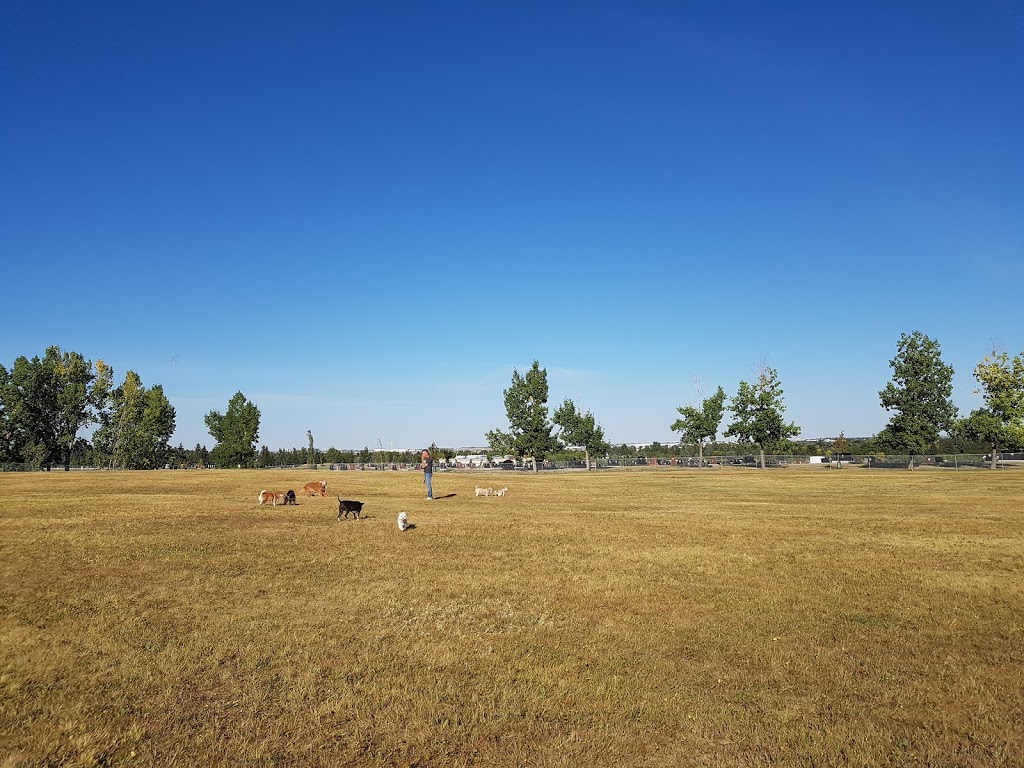 Queens Park Villiage off-leash area QPK-001 | 3425 10 St NW, Calgary, AB T2K, Canada