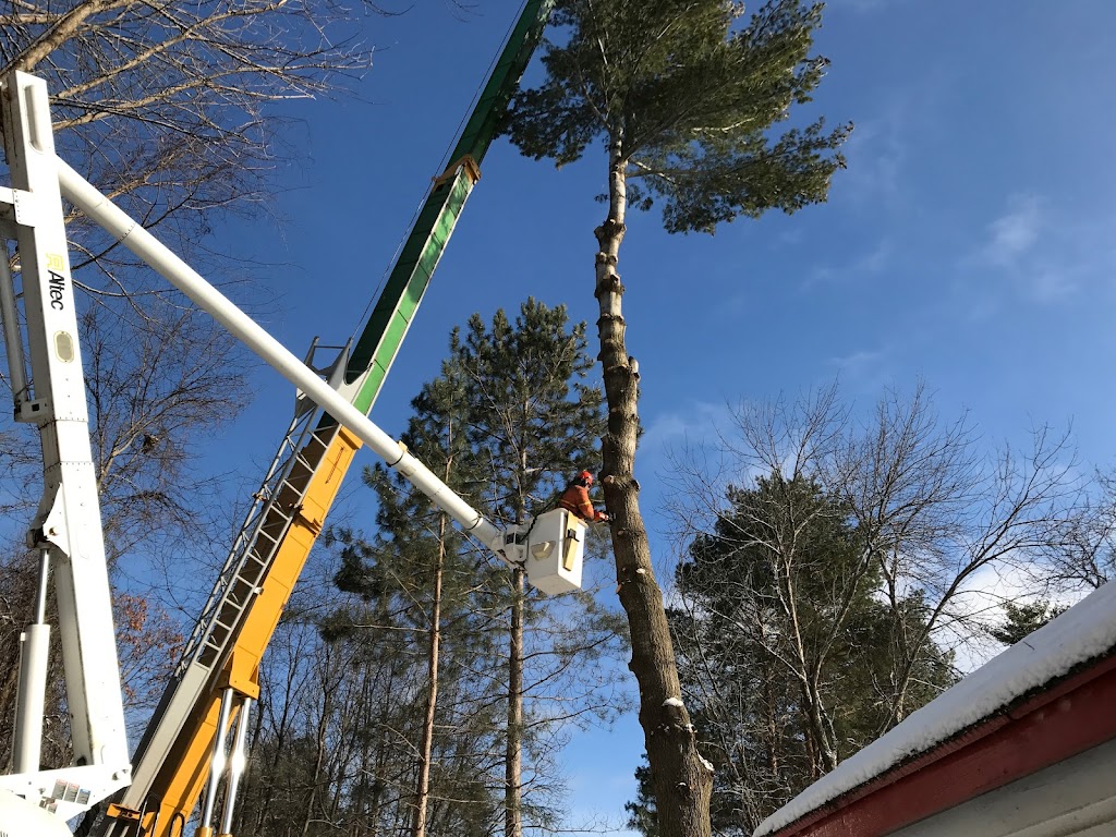 Dagenais Tree Service Ltd | 215 Paul Martin Dr, Pembroke, ON K8A 6W4, Canada | Phone: (613) 732-2426