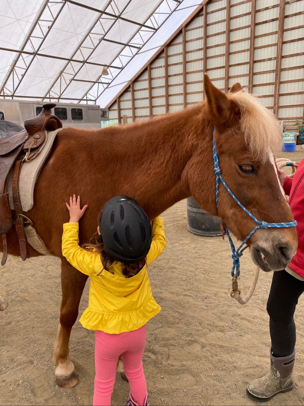 Natural Horse Styles | 3395 ponderosa way, Qualicum Beach, BC V9K 2J8, Canada | Phone: (250) 228-4933