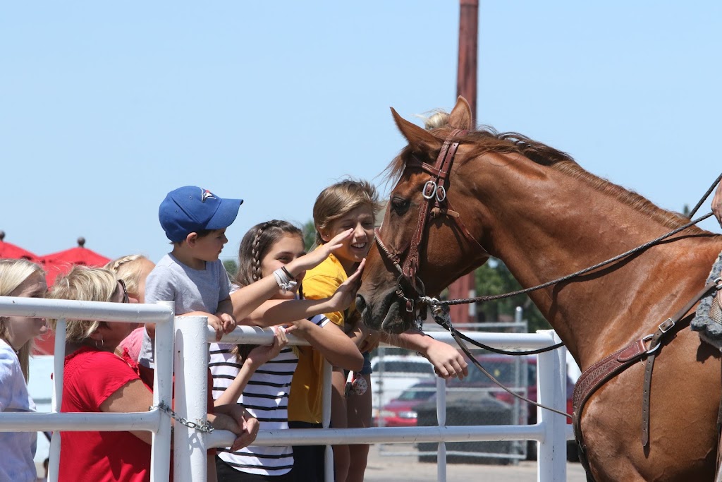 Rocky Mountain Turf Club | 3401 Parkside Dr S, Lethbridge, AB T1J 4B3, Canada | Phone: (403) 380-1905