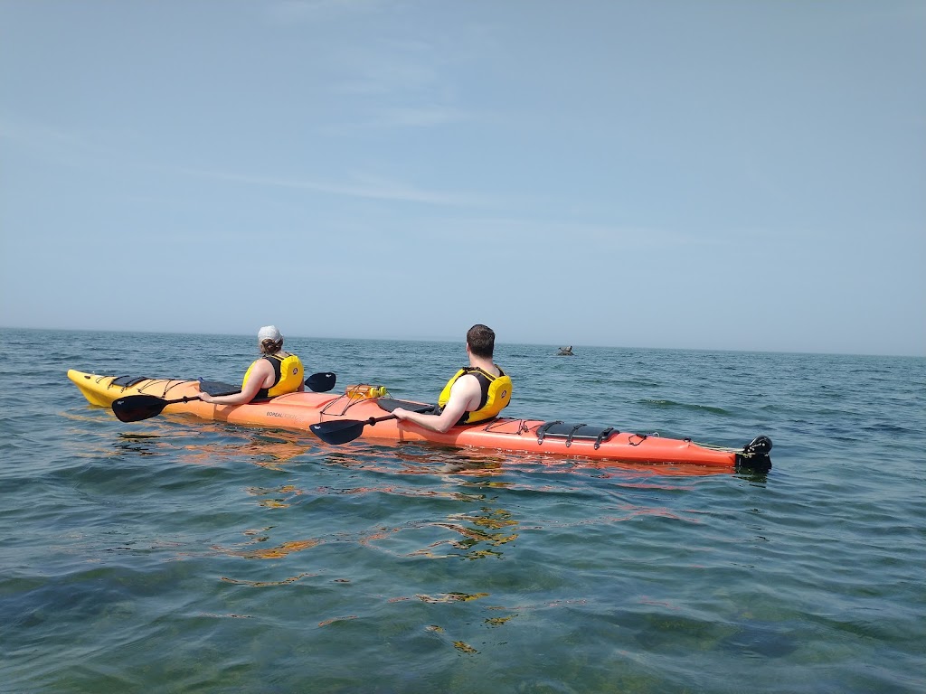 Co-Op de Kayak de mer des Iles | Kiosque mobile blanc au bout du quai éperon mobile blanc, Trois-Pistoles, QC G0L 4K0, Canada | Phone: (418) 851-4637