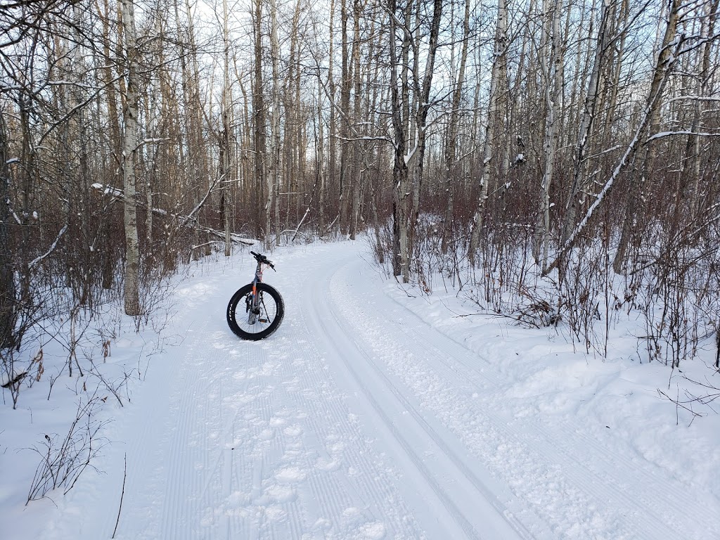 Riverlot 56 Natural Area | Poundmaker Rd, St. Albert, AB, Canada