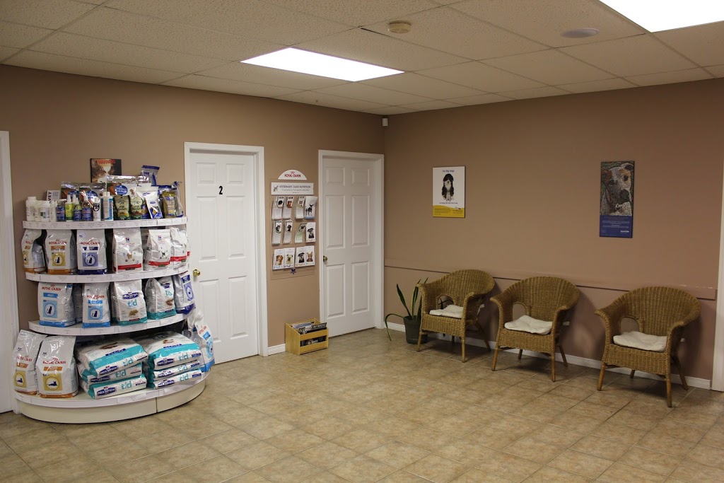 Pinnacle Animal Hospital | 1767 ON-60 RR3, Renfrew, ON K7V 3Z6, Canada | Phone: (613) 433-3100