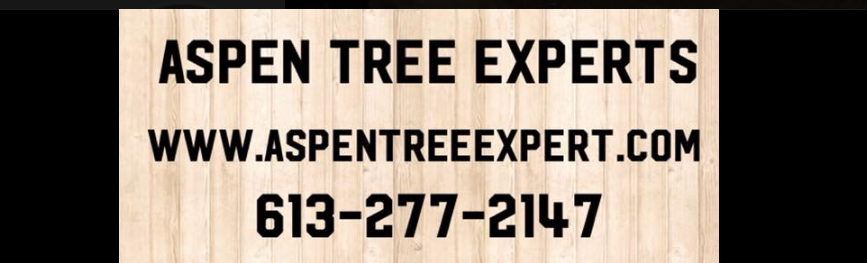 Aspen Tree Experts | 1444 Kamouraska Cir, Orléans, ON K1C 3J2, Canada | Phone: (613) 277-2147