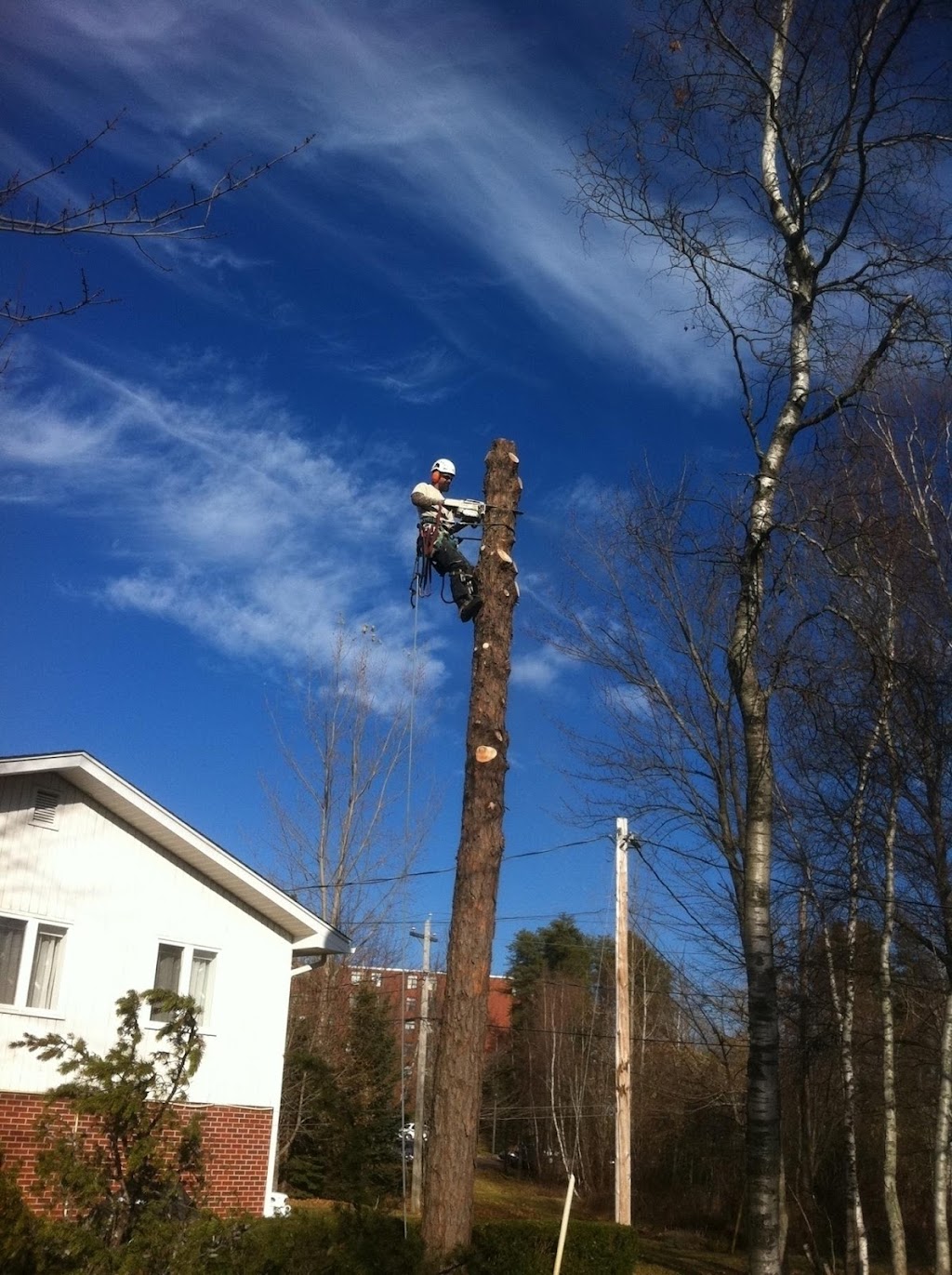 Arbor-Tech Tree Service Inc | 1240 Route 114, Lower Coverdale, NB E1J 1A6, Canada | Phone: (506) 382-0712