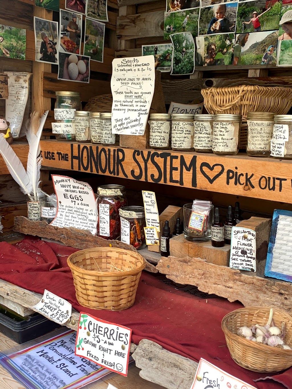 Monkey in the Garden Permaculture Farm & Market Stand | 8820 Nicola Hwy, Spences Bridge, BC V0K 2L0, Canada | Phone: (250) 458-2420