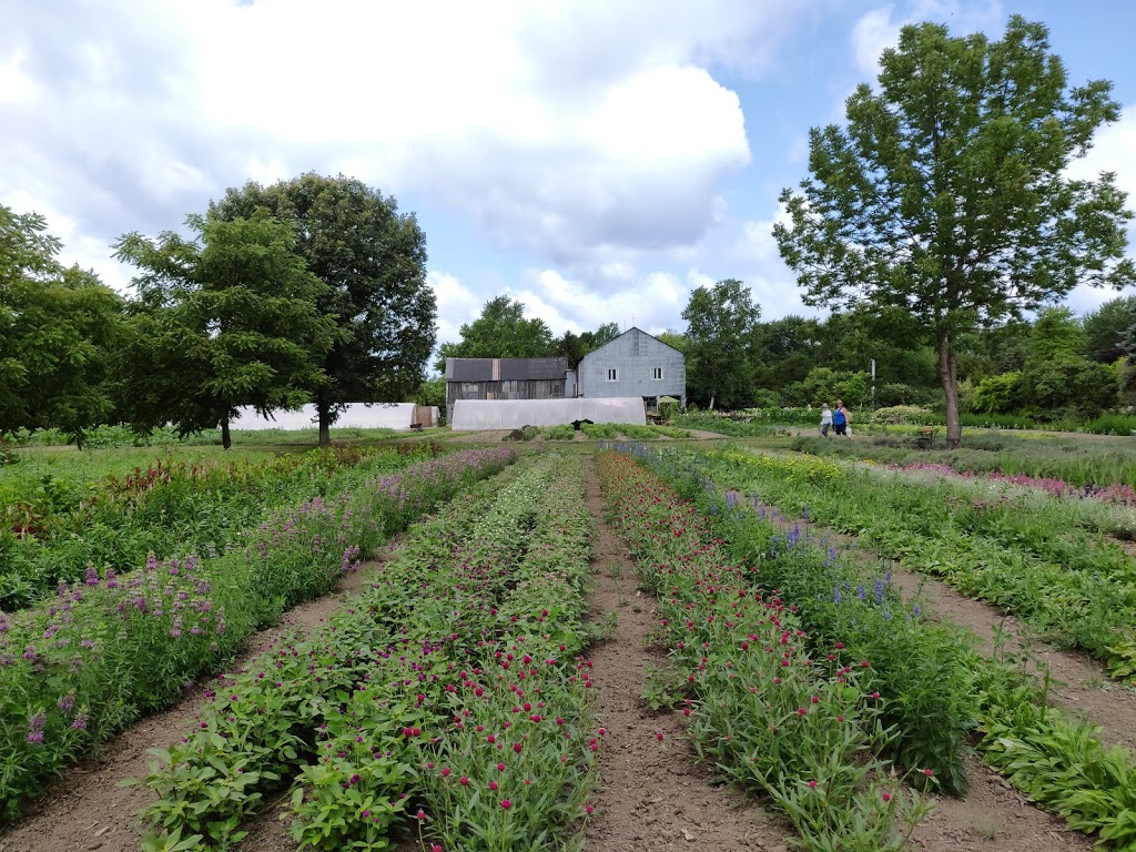 Forest Glen Herb Farm | 8333 Glendale Dr, Lambton Shores, ON N0N 1J7, Canada | Phone: (519) 899-4372