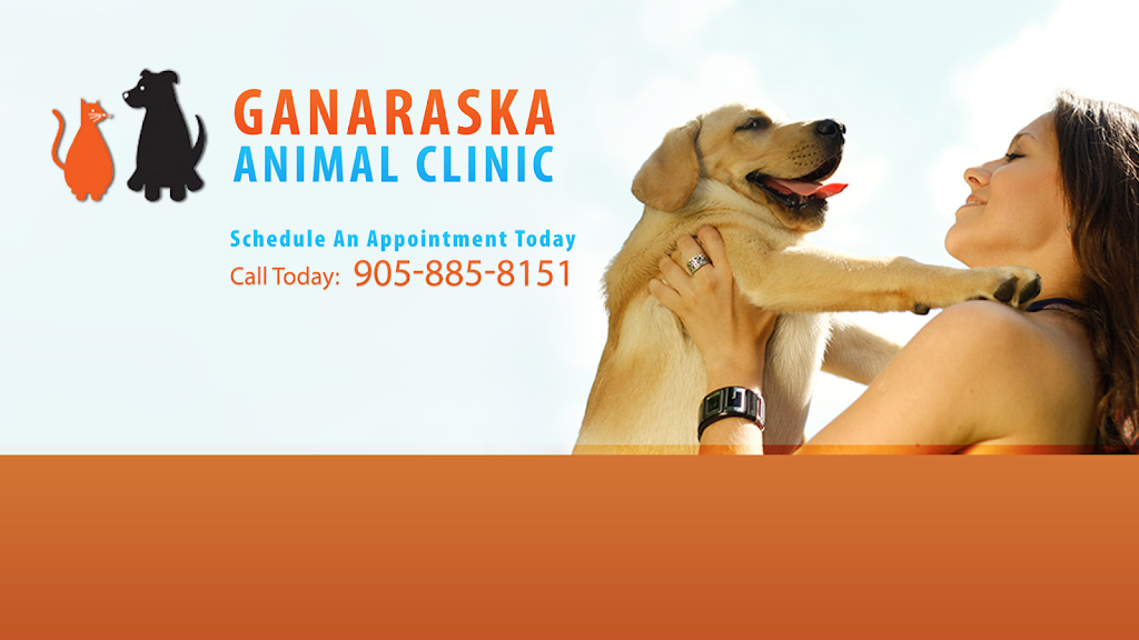 Ganaraska Animal Clinic | 146 Rose Glen Rd, Port Hope, ON L1A 3V6, Canada | Phone: (905) 885-8151