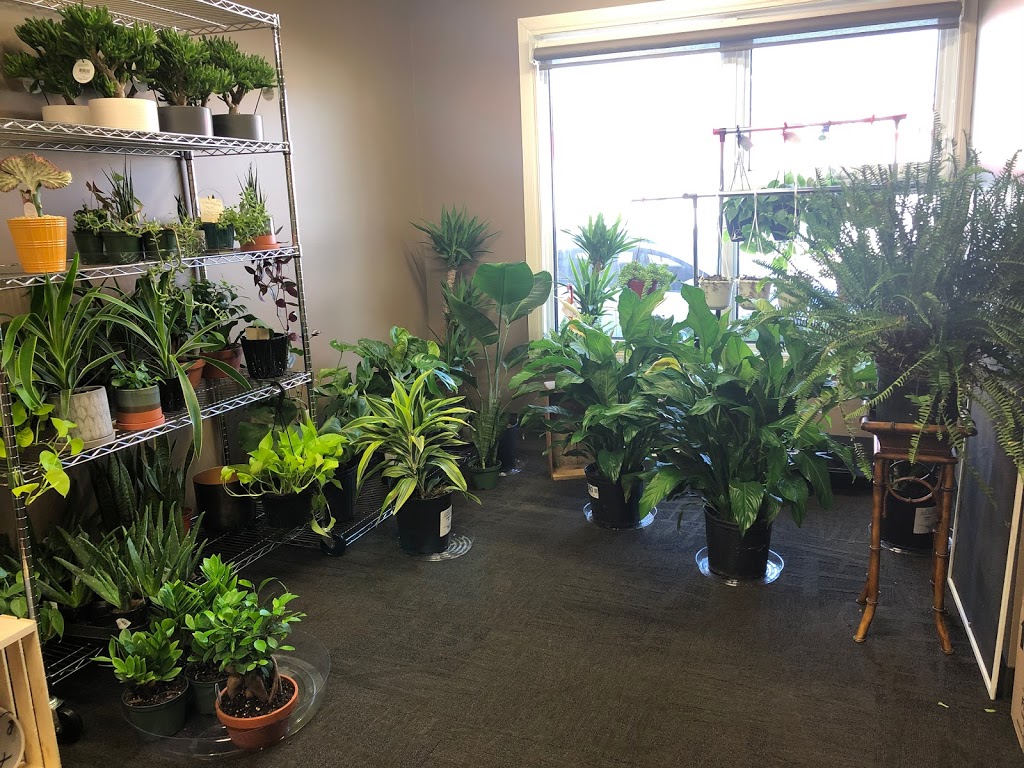 Root Bound Plant Shop | 33 5 St, Weyburn, SK S4H 0Y9, Canada | Phone: (306) 842-2882