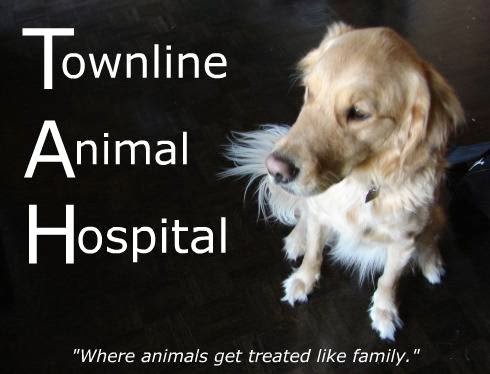 Townline Animal Hospital | 900 Jamieson Pkwy, Cambridge, ON N3C 4N6, Canada | Phone: (519) 629-3817