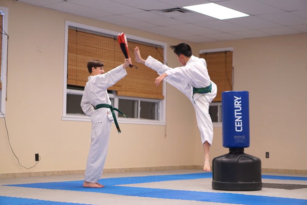 Martial Arts Hamilton - TORNADO Taekwondo | 166 Hamilton Regional Rd 8, Stoney Creek, ON L8G 1C3, Canada | Phone: (289) 828-6116