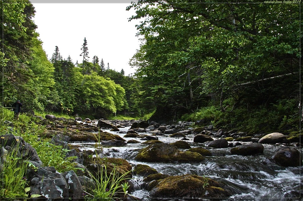 OReilly House Museum | 48 Orcan Dr, Placentia, NL A0B 2Y0, Canada | Phone: (709) 227-5568