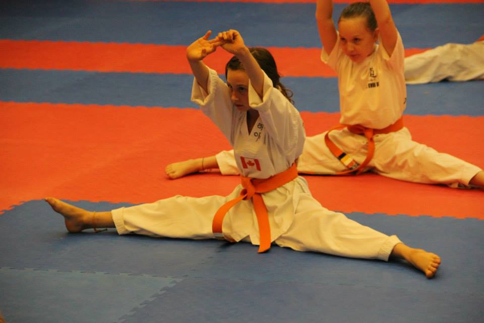 Tri Star Taekwondo | 1510 Fanshawe Park Rd W #2, London, ON N6H 5L8, Canada | Phone: (519) 472-4545