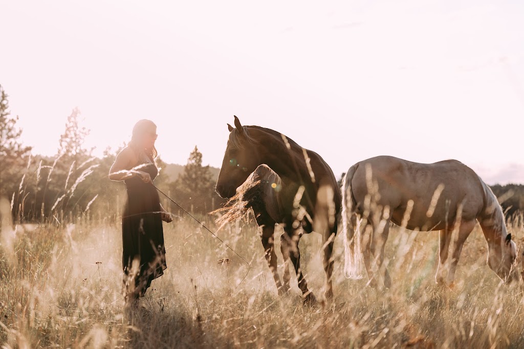 Freespirit Horsemanship | Hwy 3, BC-93, East Kootenay, BC V0B 1T0, Canada | Phone: (250) 417-6974