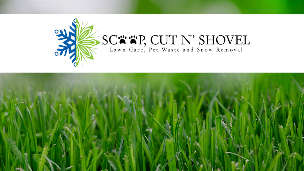 Scoop, Cut N Shovel Property Maintenance | 341 Hidden Valley Pl NW, Calgary, AB T3A 5L7, Canada | Phone: (403) 818-5973