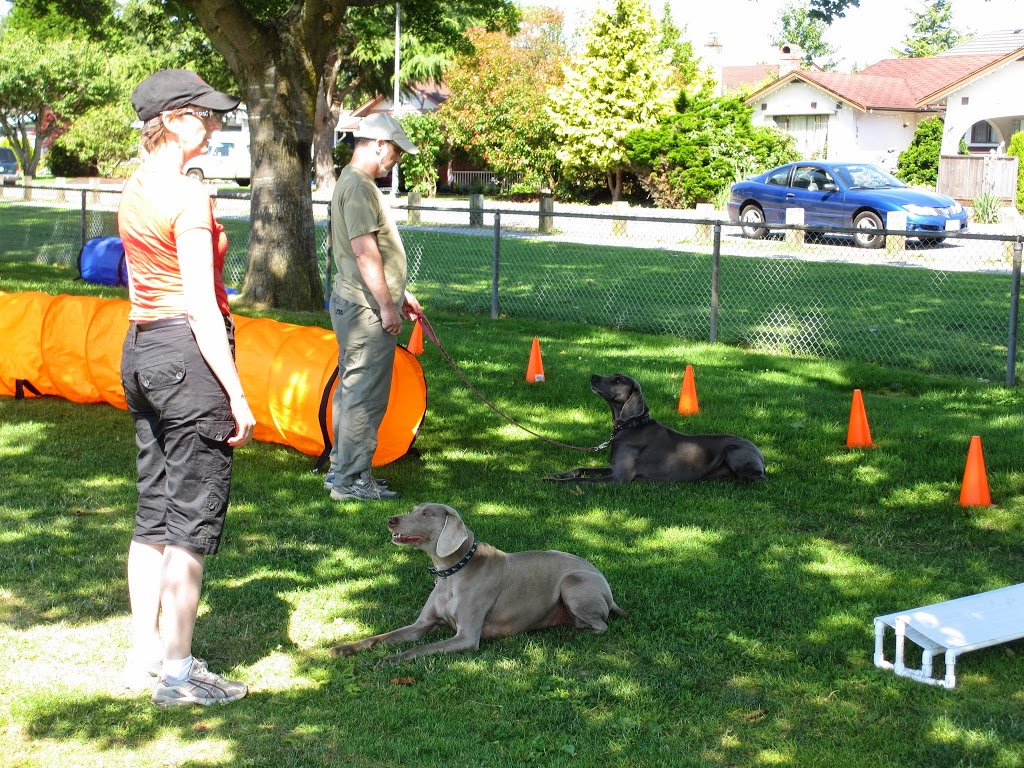 Obediently Yours K9 Training • Puppy & Dog Training Vancouver | 3681 Victoria Dr, Vancouver, BC V5N 5P1, Canada | Phone: (604) 818-5564