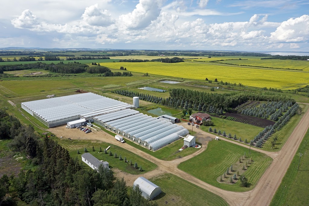 Gull Valley Greenhouses | 40120 Range Rd 283, Alberta T4M 0X7, Canada | Phone: (403) 885-2242