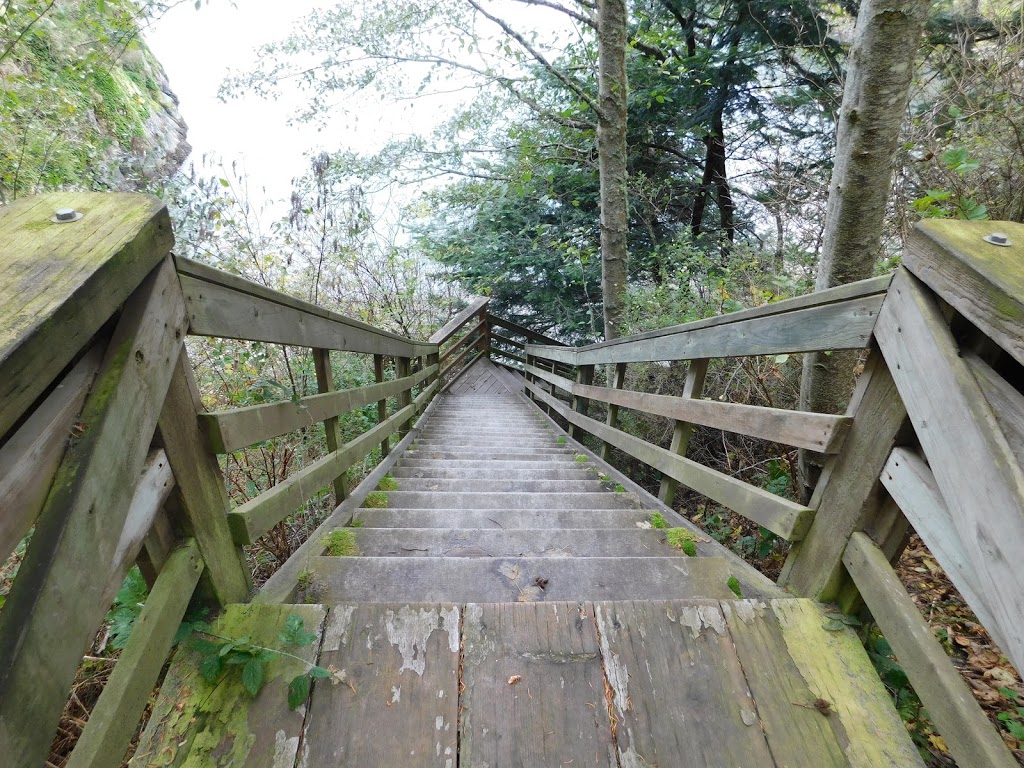 Blackie Brady County Park | Lopez Island, WA 98261, USA | Phone: (360) 378-8420