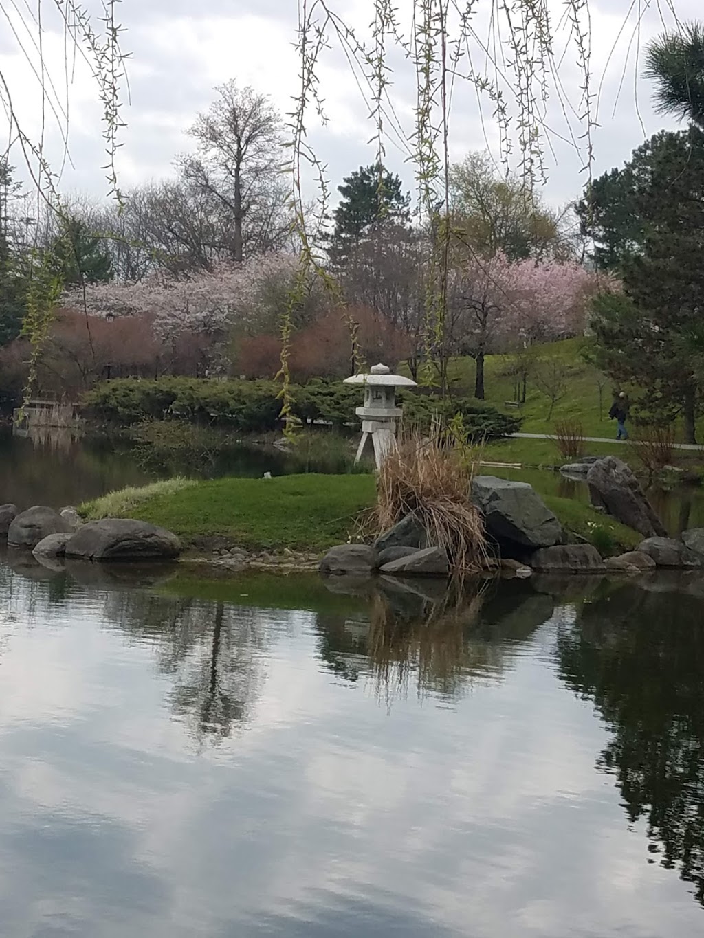 Japanese Garden | 1 Museum Ct, Buffalo, NY 14216, USA | Phone: (716) 873-9644