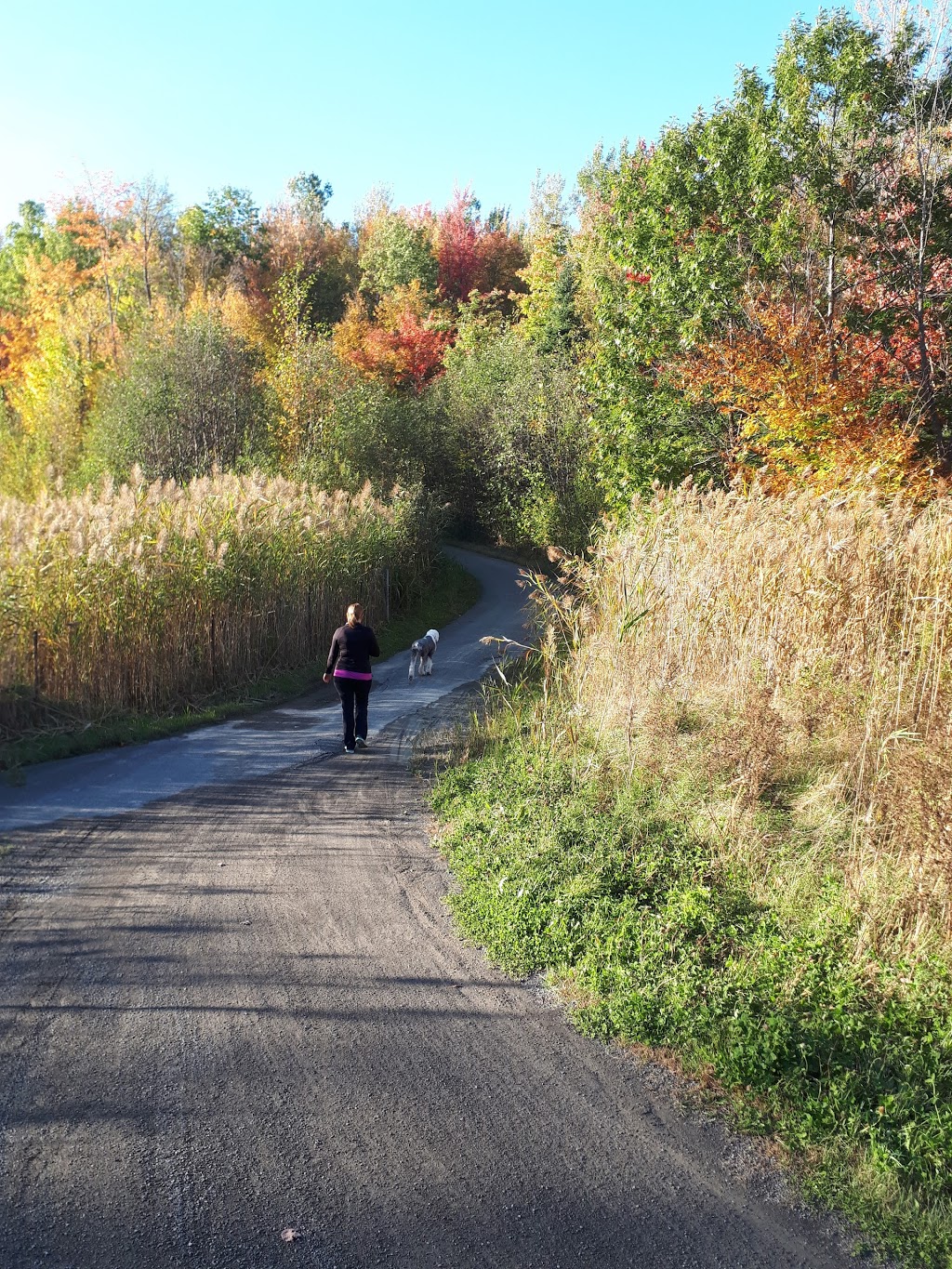 Parc LOrée-du-Lac | 535-539 Rue de Compostelle, Terrebonne, QC J6Y 1Z1, Canada | Phone: (438) 936-3487