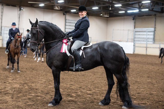 Steel Creek Equestrian | 39RM+CP, Millet, AB T0C 1Z0, Canada | Phone: (780) 542-1236