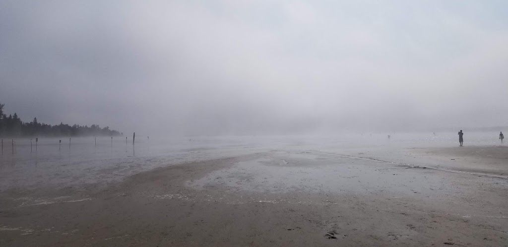 Singing Sands Beach | Singing Sands Interpretive Trail, Tobermory, ON N0H 2R0, Canada | Phone: (519) 596-2233