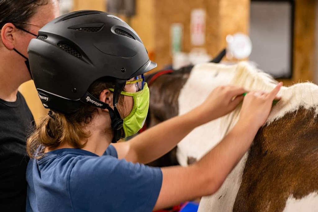 Projet Equestre Goldie | 402 Chem. de la Côte S, Blainville, QC J7E 4H5, Canada | Phone: (450) 821-8157