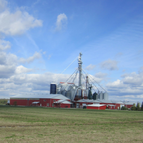 Andy Veenstra Farms | 4238 Second Concession Rd, Sherkston, ON L0S 1R0, Canada | Phone: (905) 401-2817