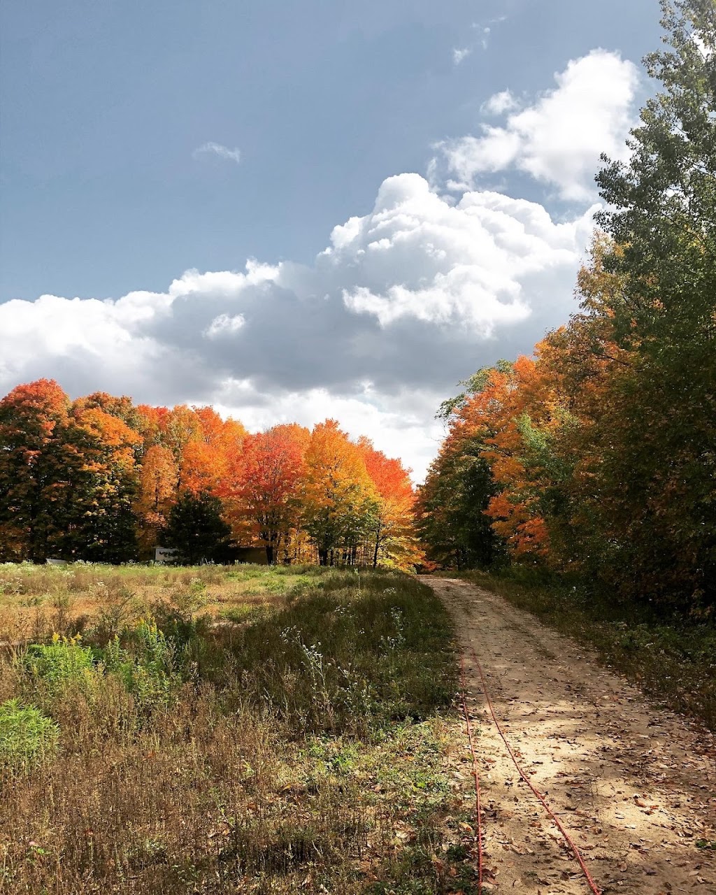 Domaine de lours de la montagne | 275 Rang du Pied de la Montagne, Sainte-Mélanie, QC J0K 3A0, Canada | Phone: (514) 928-5298