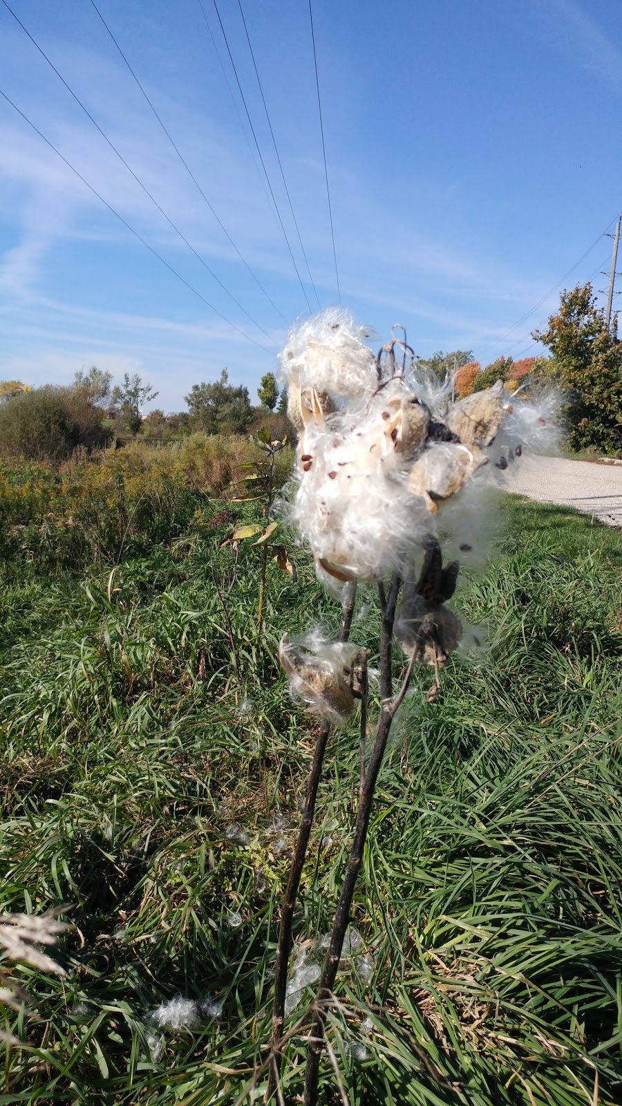 Off-Leash Dog Park | Hanlon Rd, Guelph, ON N1G, Canada