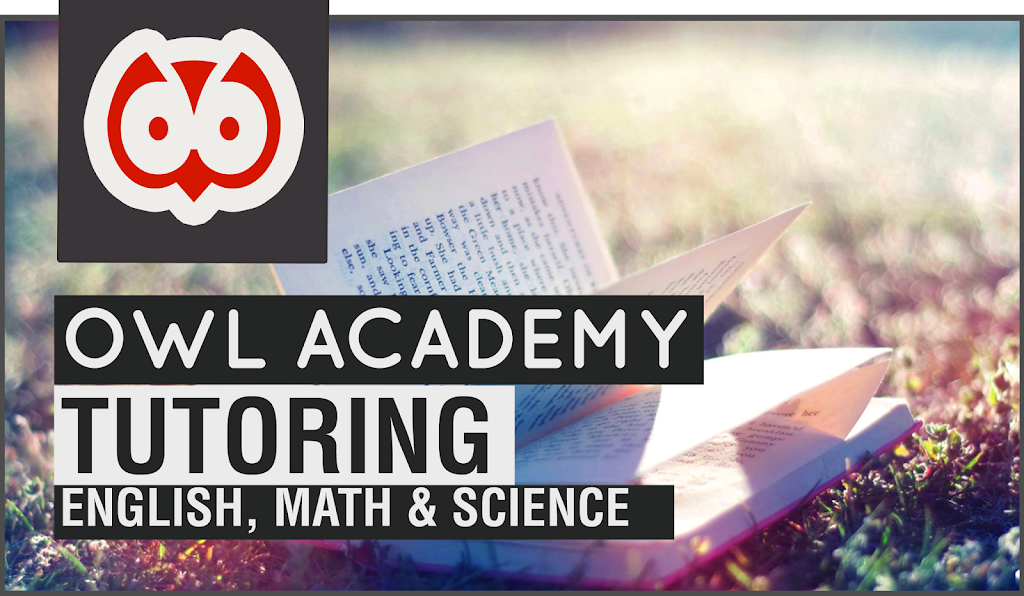 Owl Academy Tutoring | 1066 Dunbarton Rd, Pickering, ON L1V 1G8, Canada | Phone: (416) 371-8534