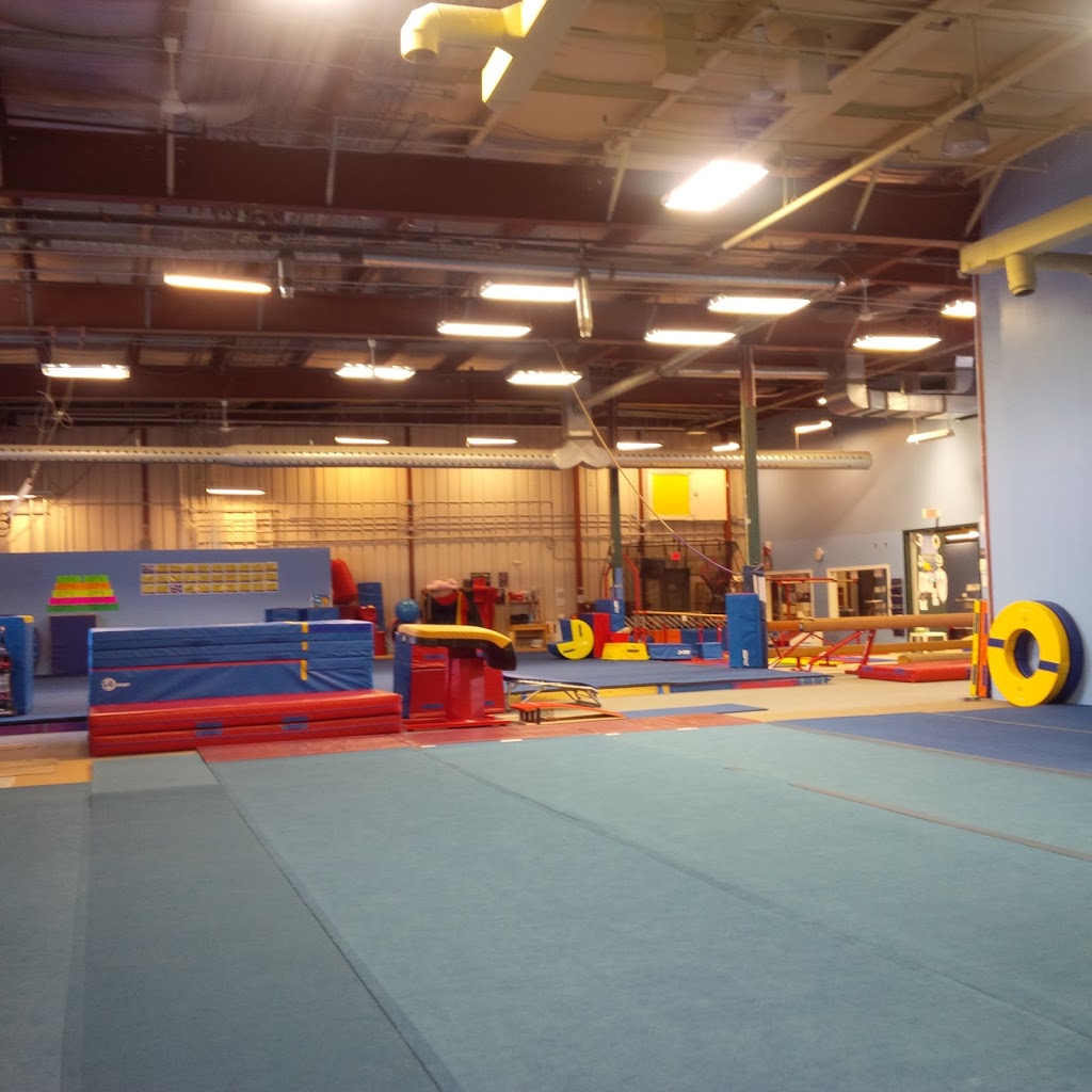 Euro Gymnastica Corporation | 44 Iber Rd, Stittsville, ON K2S 1E8, Canada | Phone: (613) 836-9149