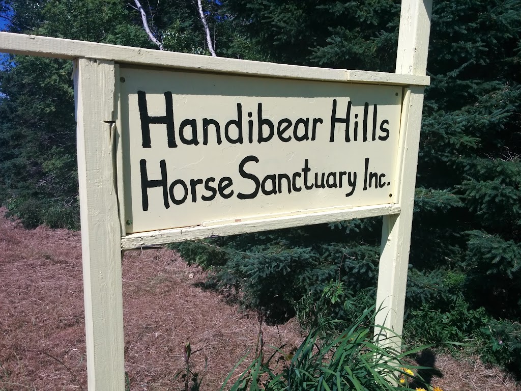 Handibear Hills Horse Sanctuary | 3919 Millvale Rd, Breadalbane, PE C0A 1E0, Canada | Phone: (902) 964-3220