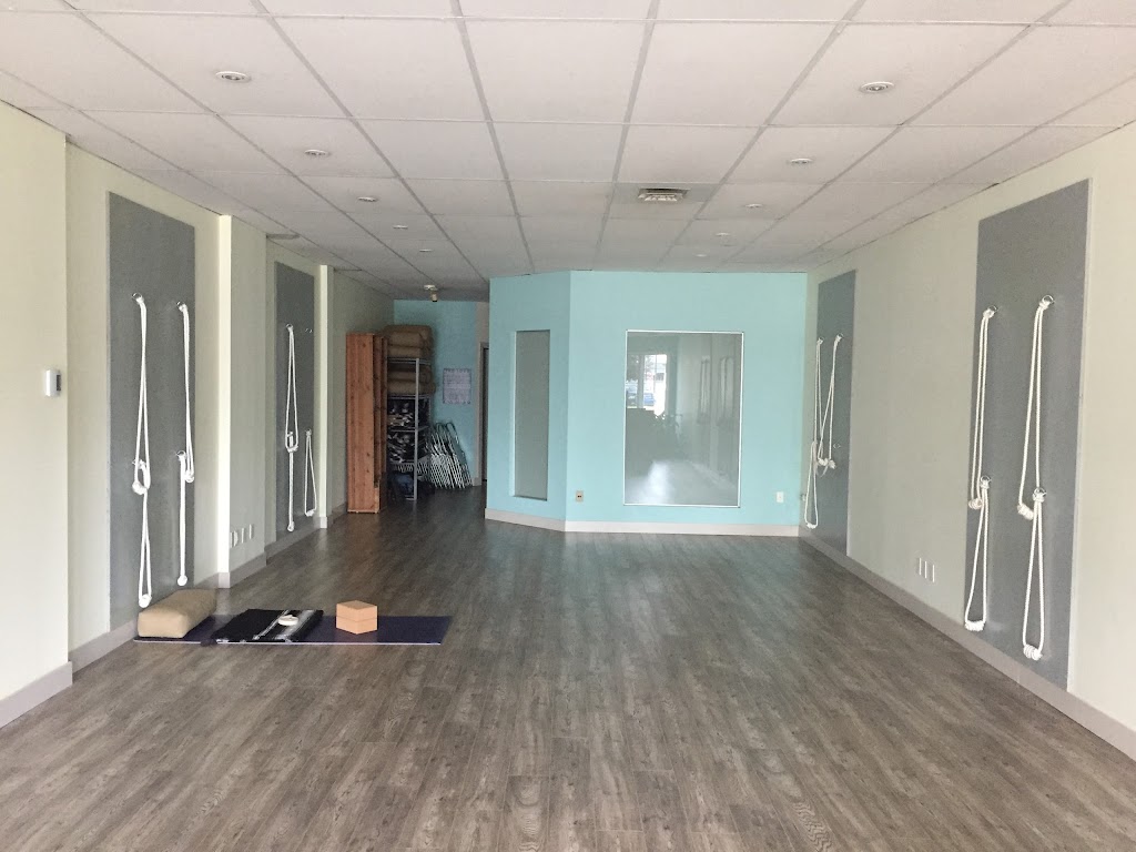 Vidya Yoga | 233 Bd Sainte-Rose #350, Laval, QC H7L 1L7, Canada | Phone: (514) 604-2862