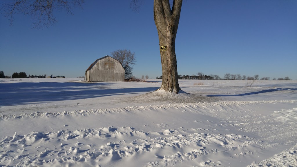 Lindvest Homes, Gracefields. | 131 Grady Dr, Newcastle, ON L1B 1G9, Canada | Phone: (647) 352-6589