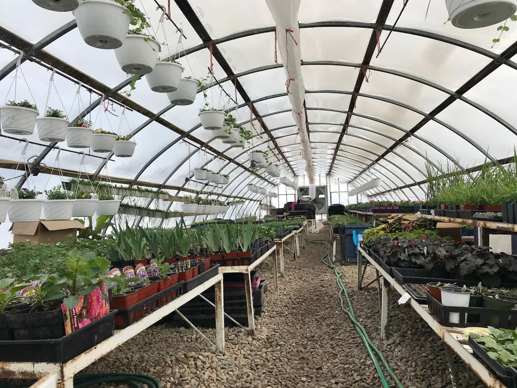 Tammys Green Thumb Greenhouse | 4530 70 Ave #3510, Olds, AB T4H 1T8, Canada | Phone: (403) 556-6740